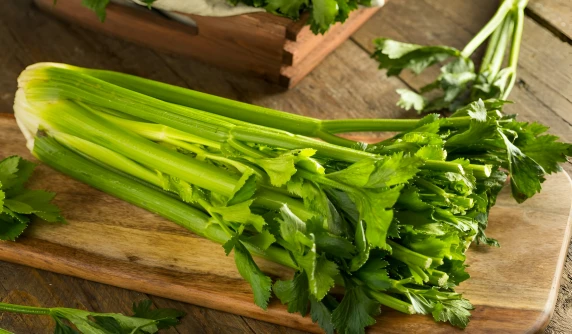 How To Use Celery for Gout? Hidden Benefits